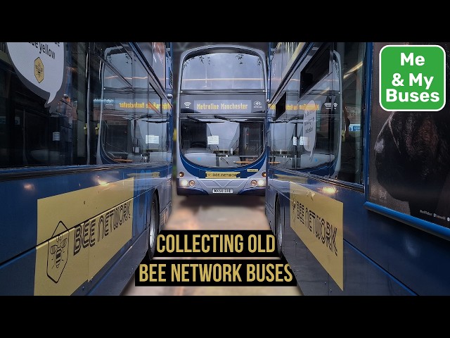 Collecting Some Bee Network Buses We've Bought