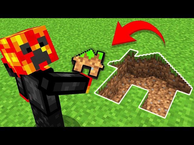 Can I Make a HOUSE From EVERY BLOCK In Minecraft!