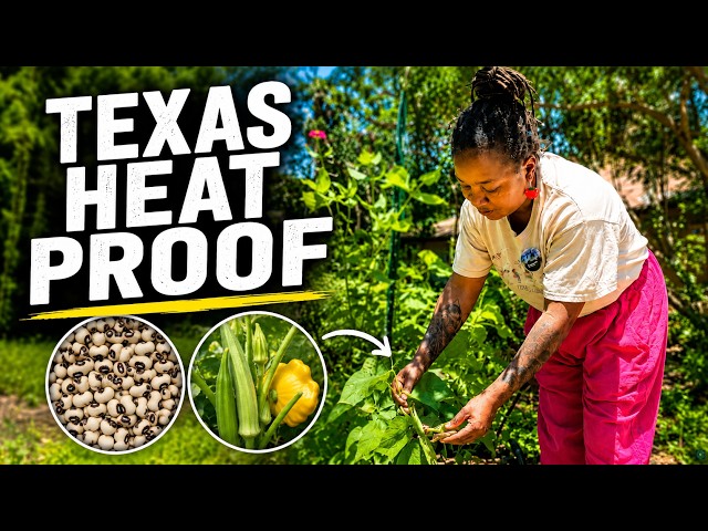 16 Rare Vegetables That Thrive in Texas Heat