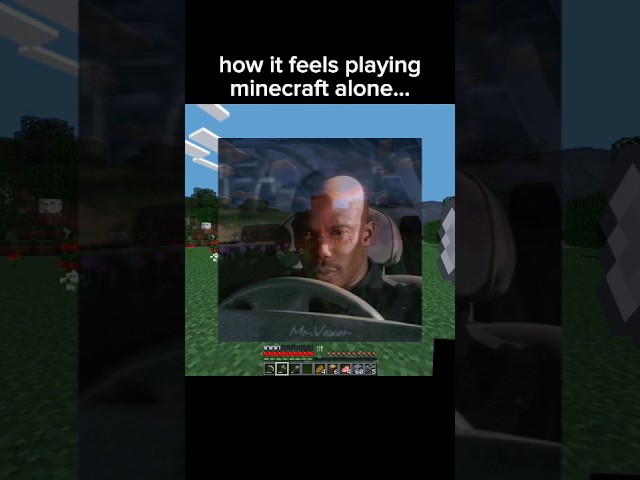 When you play alone #minecraft #memes