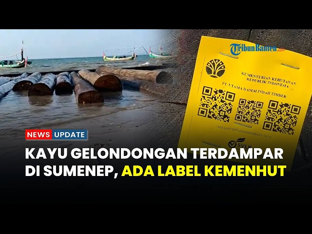Hundreds of Logs Wash Ashore in Sumenep, Labeled with Indonesian Ministry of Forestry Stickers: P...