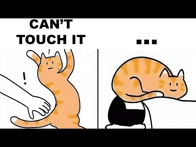 CARTOON MEMES