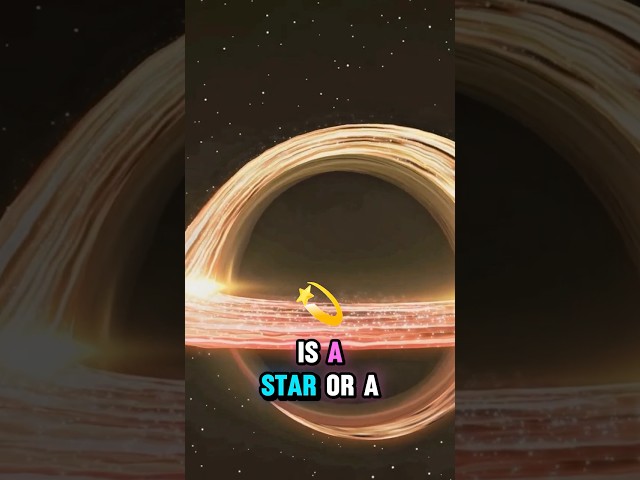What if the Sun suddenly turned into a black hole