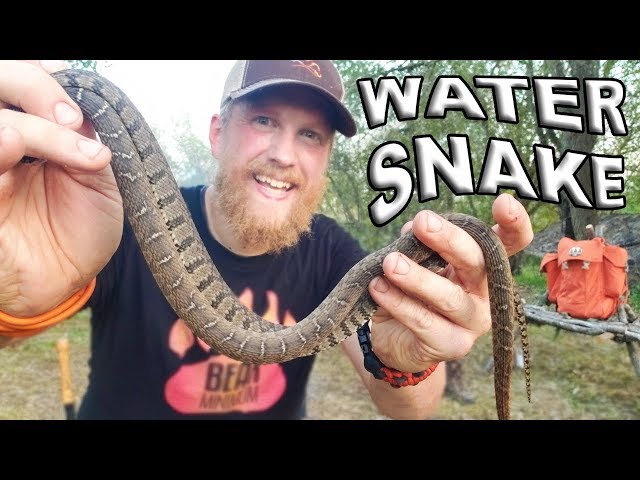 Catch And Cook Water Snake / Day 7  Of 30 Day Survival Challenge  Texas
