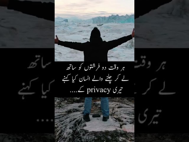 insan