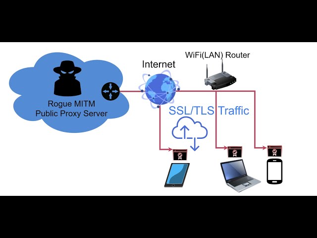 Public MITM Rogue Proxy: Intercepting SSL/TLS over Internet (Fiddler & MITMProxy)