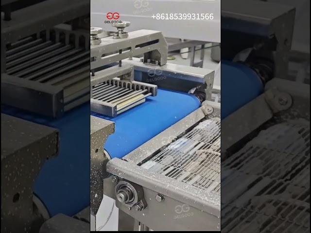 Spring Roll Production Line in North Macedonia