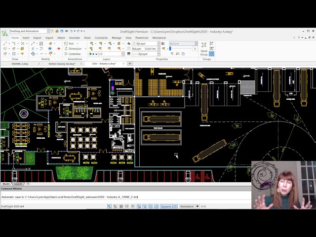 DraftSight Insights: Learn Layer Tools with Lynn Allen