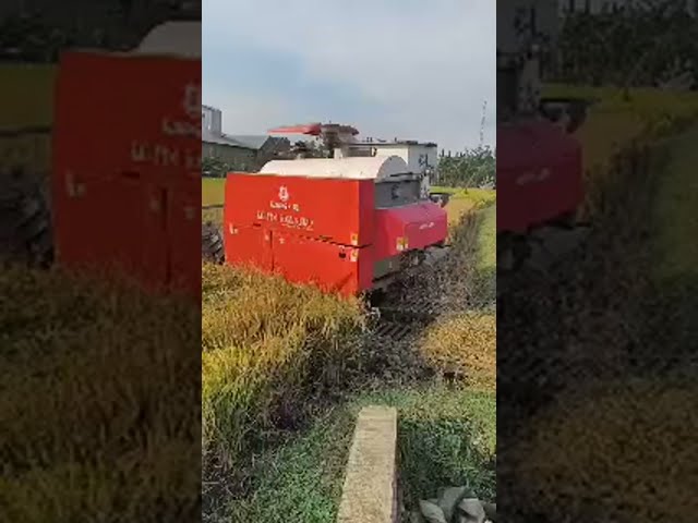 Kombi Sawah Gunung Biru Traktor Sawah Indonesia is live!