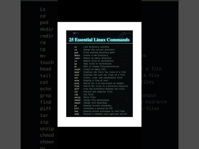 25 Essential Linux Commands Every Beginner Should Know!