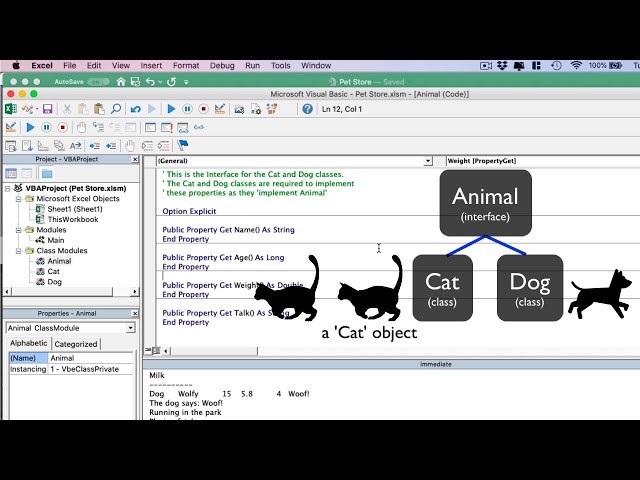 VBA Classes - The Definitive Guide