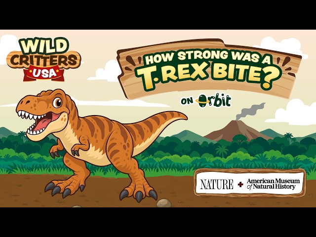 How strong was a T. rex bite!?