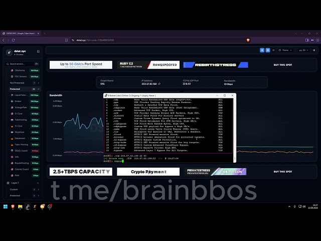 BRAIN C2 VS GSL PROTECED DSTAT | STRONG AND CHEAP C2 & BOTNET 2026 | BEST ON MARKET!