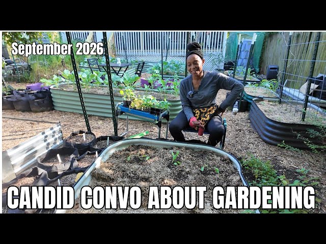 My Garden Story & What I Learned | A Conversation for New Gardeners