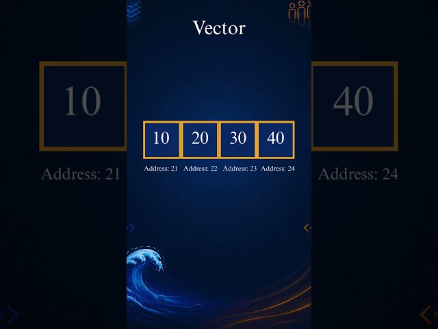 Vector vs Graph Explained in 30 Seconds | Data Structures Made Simple