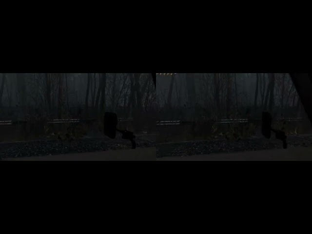 CHORDOSIS (3D Video) Test