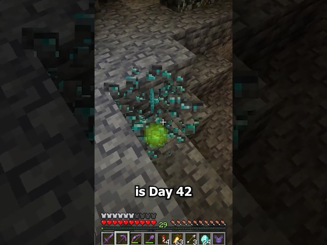 Diamond Challenge Day 42 #minecraft