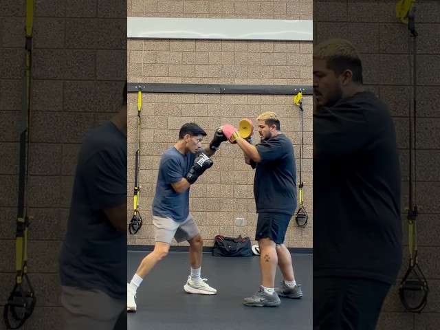 Everlast Elite Pro Leather Lace Up Training Boxing Gloves | Pad Work