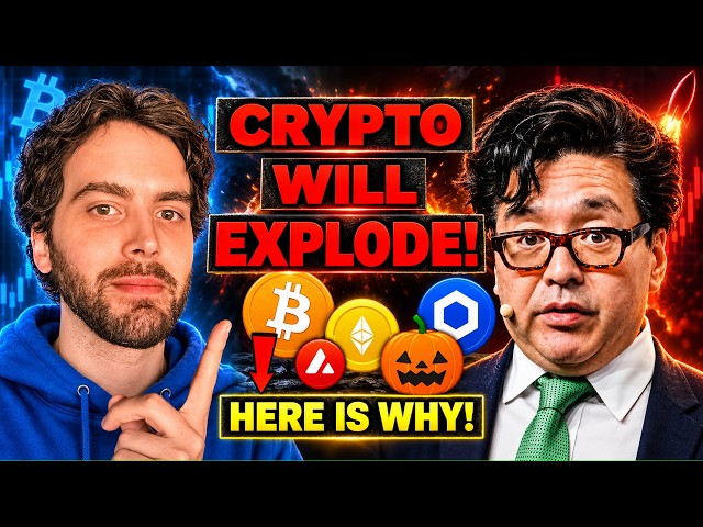 Crypto Bull Market CONFIRMED!! What Comes Next?