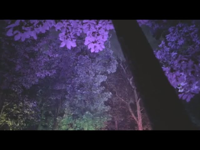 MusicMode - My Throne (In Depeche Mode Style v2)