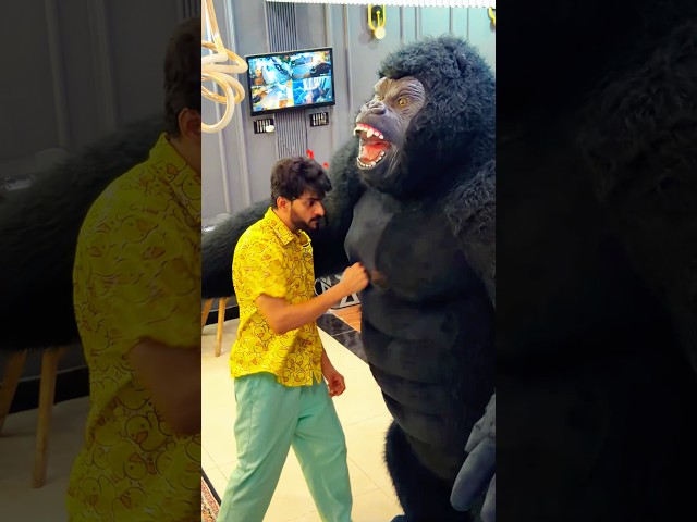 Gorilla VS Mishkat Fight🤬 #funny #gorilla #comedy #viral