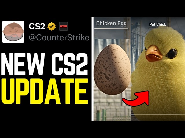 NEW CS2 Pets Update EXPLAINED (Premier Changes, Silent Reload, Eggs, Chickens & Rush)