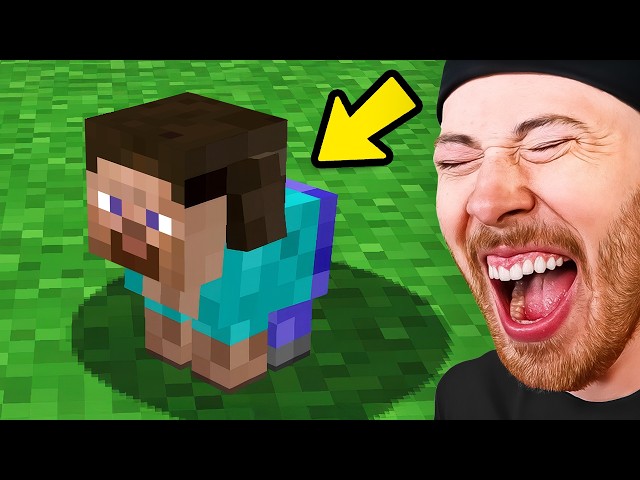 Minecraft Memes You Can't Explain