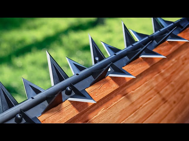HOME DEFENSE GADGETS ON AMAZON!