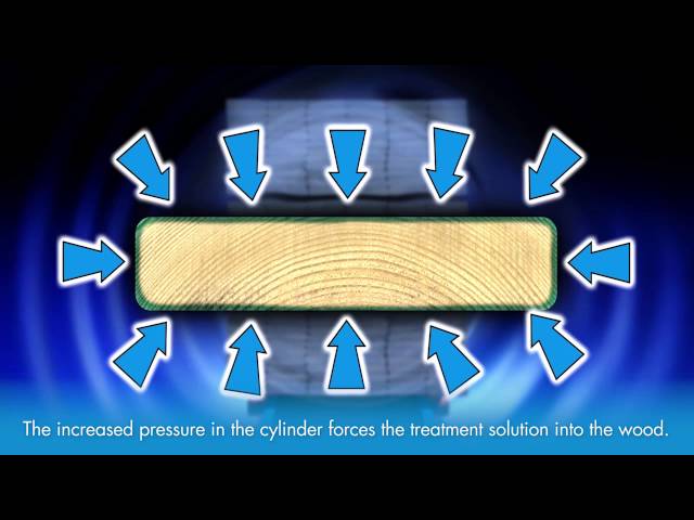 Pressure Treated Wood: The Complete Guide to the Pressure Treatment Process for Wood