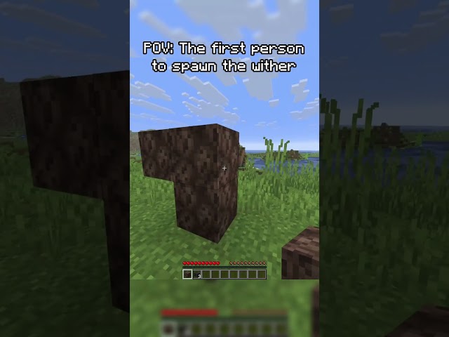 how the first person who spawned the minecraft wither felt