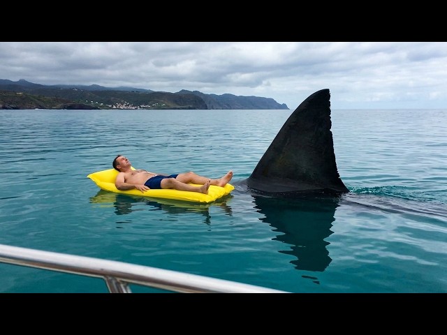 Interesting Animal Moments Caught on Camera