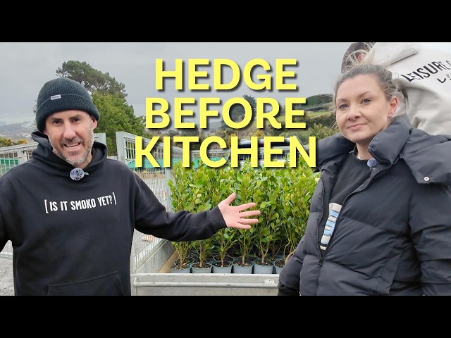 When is the Right Time to Plant Hedges?