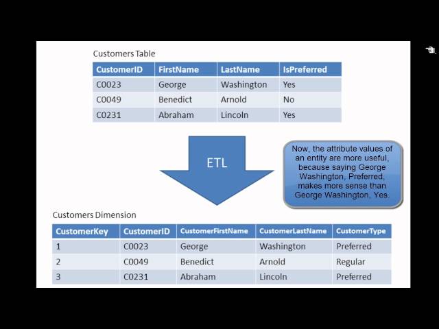BI and Data Warehouse Tutorial - Booleans and Flags