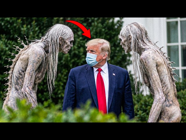 200 Things Humans Were Never Meant to See!