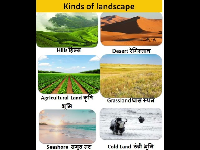 Kinds Of Landscape
