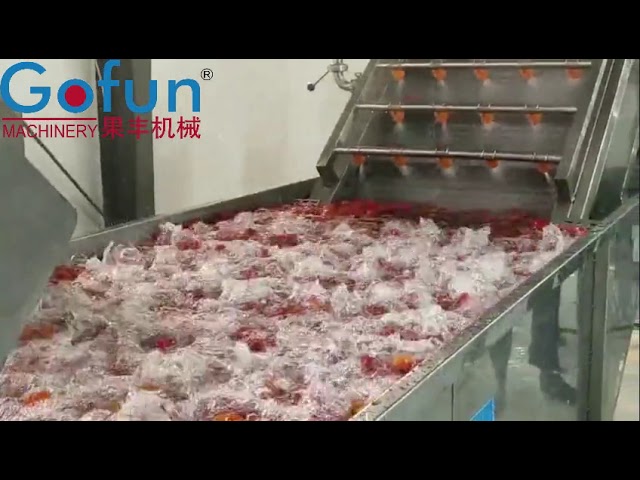 1 Ton Per Hour Vegetable Processing Line Tomato Paste Making Machine Customized Voltage