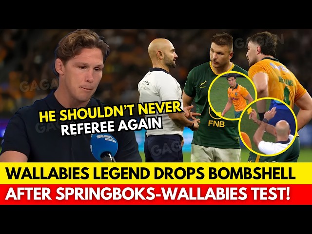 🚨UNBELIEVABLE WHAT FORMER WALLABIES CAPTAIN HOOPER JUST SAID! | SPRINGBOKS NEWS