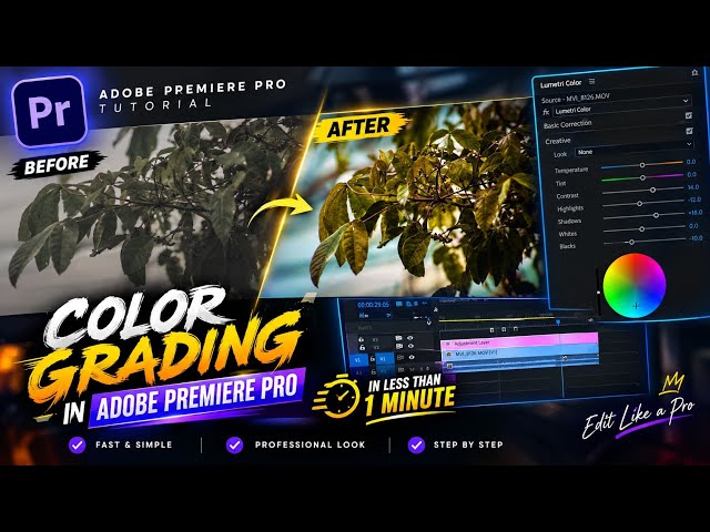 How i made this Color Grading in Only 1 Minute | Learn Editing Like a Pro in Adobe Premiere Pro 
