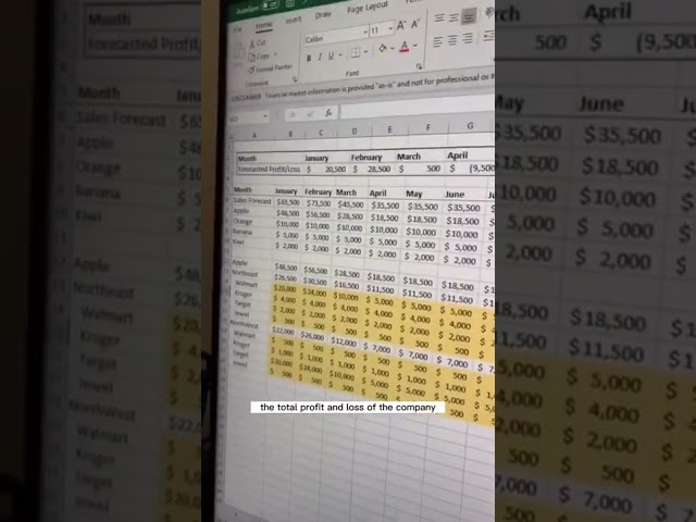 Camera Feature in Excel Tutorial📚