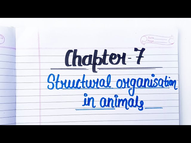 Structural Organization In Animals || Class 11 Biology ❤ Chapter 7 Handwritten Notes 👍💯 #class11✨🌸