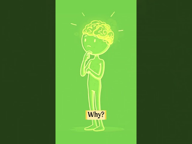 Successful People Aren't Smarter — They Just Do These 3 Things    #Shorts #SuccessHabits