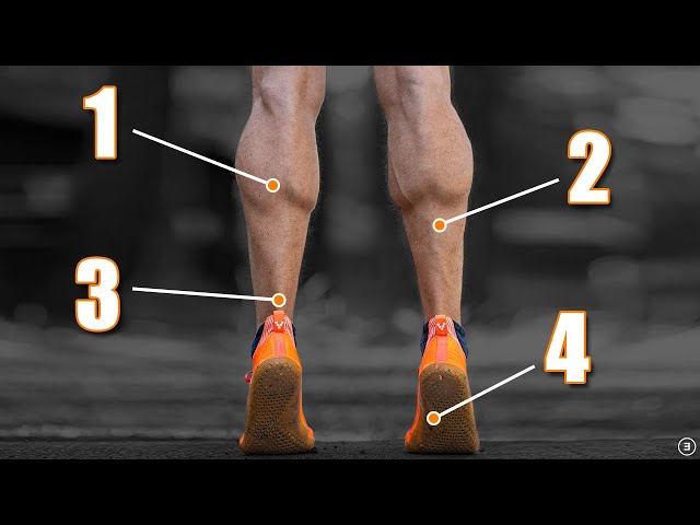How to Rehab a Sprained Ankle (Start to Finish)