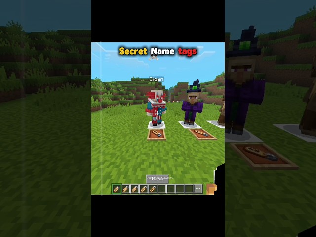 Minecraft Secret Name Tags Moment