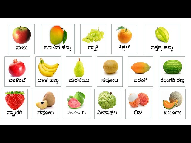 Fruits name English and Kannada // ಹಣ್ಣುಗಳು ಇಂಗ್ಲಿಷ್ ಮತ್ತು ಕನ್ನಡ ಎಂದು ಹೆಸರಿಸುತ್ತವೆ //