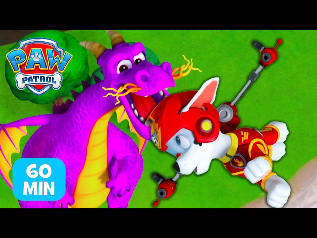 Ein echter Drache in der Abenteuerbucht! 🐉 Marshall zur Rettung! 🚒  | PAW Patrol Auf Deutsch