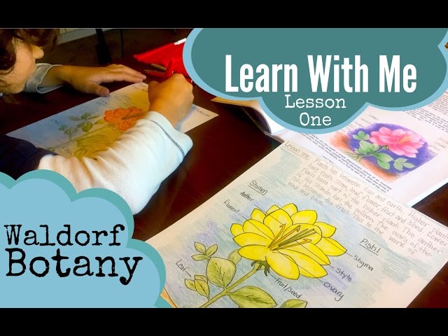 Inside a Waldorf Main Lesson