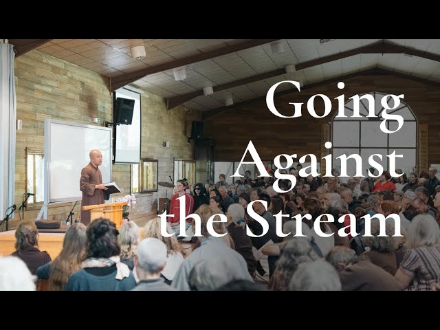 Active Nonviolence, Ethics & Mindfulness | Brother Phap Huu