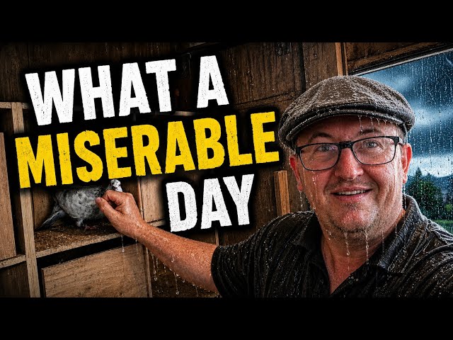 ITS CANCELLED, WHAT A MISERABLE DAY!