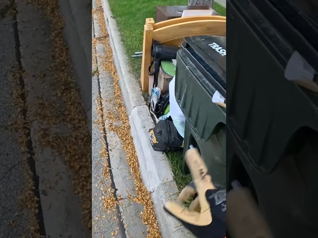 The Neighbor's Trash