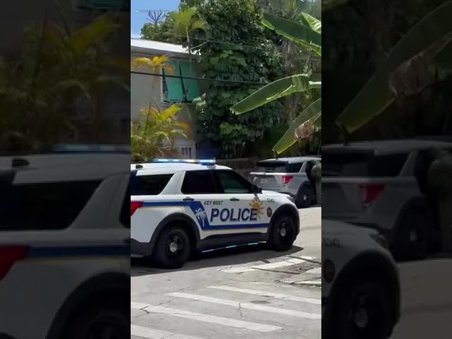 Immigration Arrest Surge Reaches Into Key West And The Florida Keys